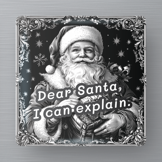 Novelty Magnet - Christmas - Santa I can explain.